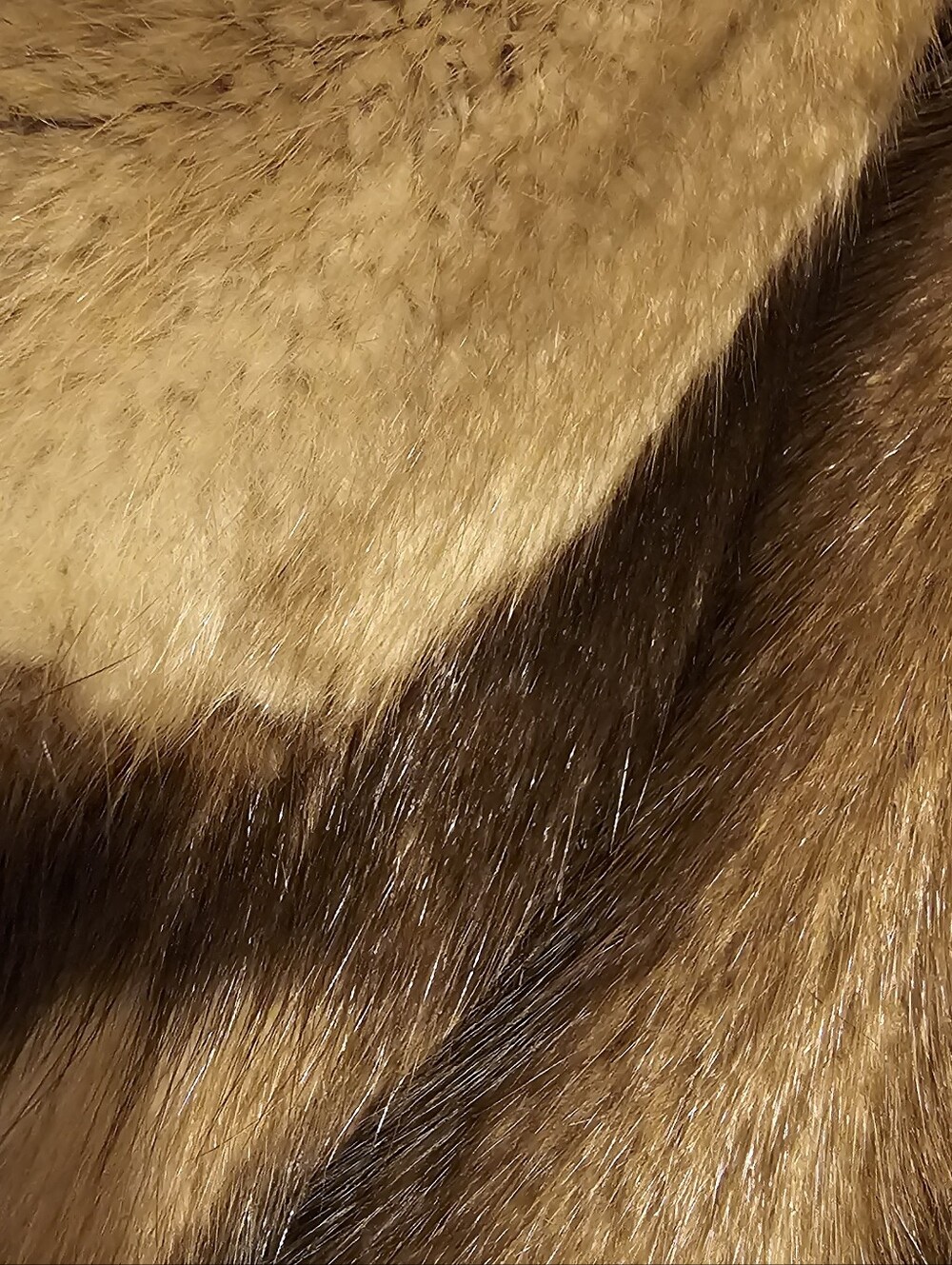 Women's Brown Fur Button-Front Coat - Picture 7 of 13
